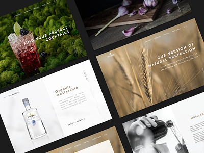 Stumbras Vodka art direction concept ui design