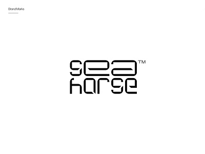Sea Horse brand identity branding graphic design logo logomark logotypes typography