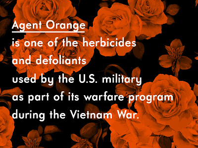 Agent Orange design floral minimal pattern typo vietnam