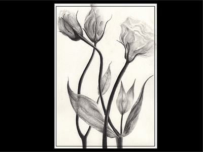 Flower Expressive charcoal drawing black and white charcoal drawing flowers paper pencil art