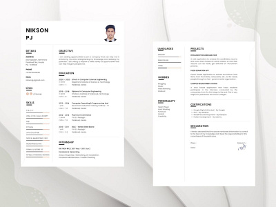 Professional Resume Template cv cv design portfolio resume resume design