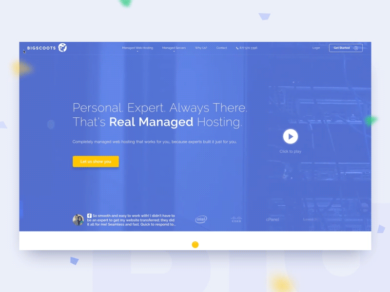 Bigscoots Website - Redesign by Majo Puterka for PLATFORM on Dribbble