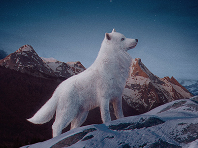 Wolf illustration mattepainting mountains wolf