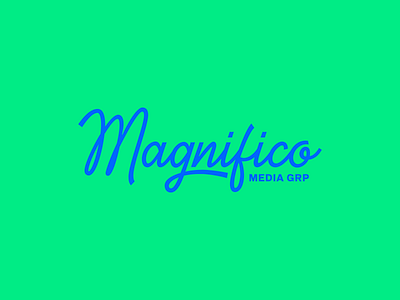 Magnifico Script blue brand branding green identity logo school script type typography