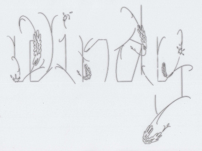 Windy Lettering botanical design illustration lettering procreate procreateapp