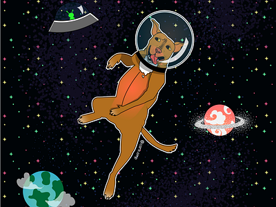 Hera in space adobe illustrator cute dog illustration pitbull space spacedog