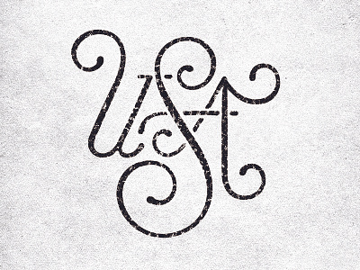 USA america drawn hand illustration lettering type typography usa