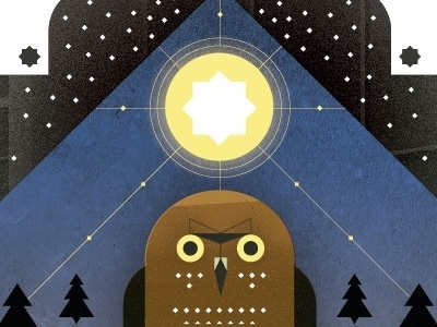 Burrowing Owl illustration