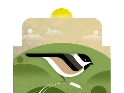 Chickadee bird chickadee illustration