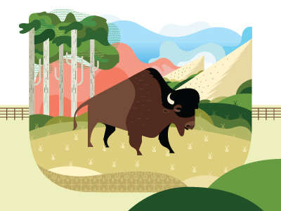 Buffalo animal boulder buffalo clouds colorado flatirons grass illustration trees