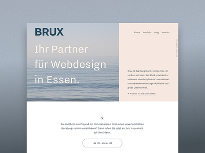 BRUX - Portfolio Relaunch clean fluid home layout minimal pastel portfolio responsive webdesign website
