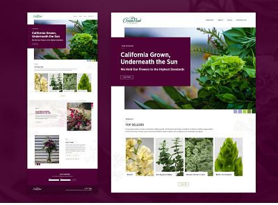 Ocean View Flowers - Website Redesign design flowers ui web
