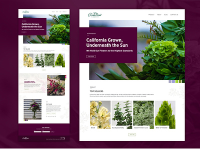 Ocean View Flowers - Website Redesign