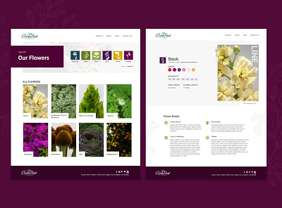 OVF - Product Page & Single Flower Page design flowers ui web