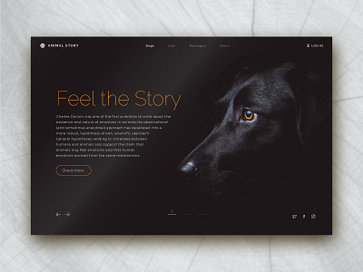 Dog Story animal app black dogs look orange. sad story web page