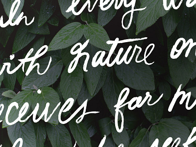 Nature lettering nature script