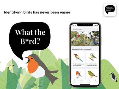 What the b*rd? | Identifying birds app app bird design design app illustration ui ux visual