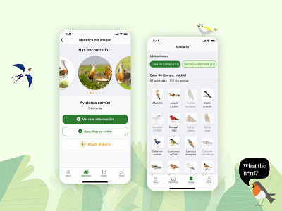 What the b*rd? | Bird identifier app app bird design design app illustration ironhack ui ux ux design uxui visual