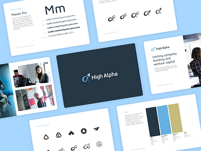 Brand Guidelines alpha blue brand guidelines brand standards