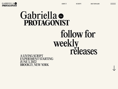 The Protagonist Website Concept branding design font website