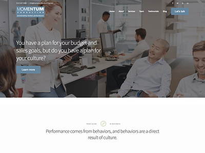 Executive Consulting Firm Website Design branding design web design website