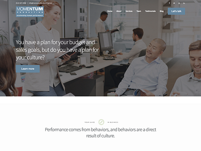 Executive Consulting Firm Website Design