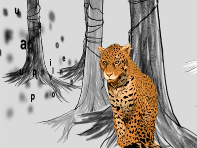 Jaguar Illustration aftereffects animation illustration typography video