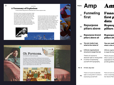 Type Scale & Grid Test grid grid layout layout read scale story typography web