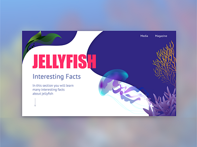 Jellyfish