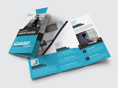 Trifold Brochure booklet brochure brochure design business business brochure catalog corporate brochure design graphic design print trfold