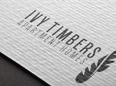 Ivy Timbers Branding brand design branding logo design presentation design