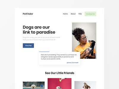 Pet Finder Web App finder pet pets petshop webdesigner website website design website designer