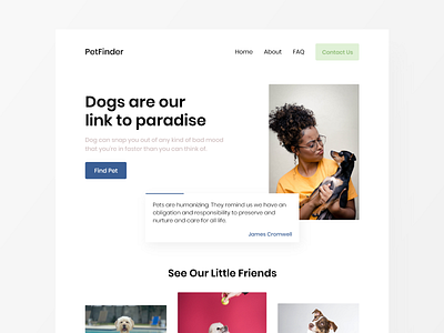 Pet Finder Web App