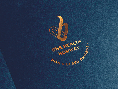 One Health Norway branding identity logo typography