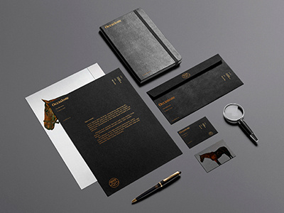 Occasione Brand Identity 2 bank brand graphic identity typography