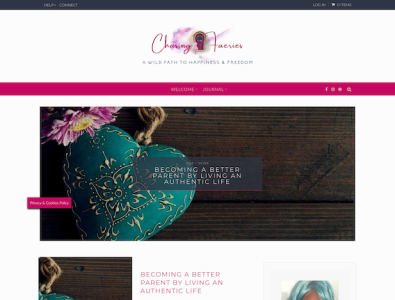 Chasing Faeries Website branding web design