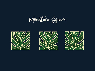 vector monstera square design flat illustration vector