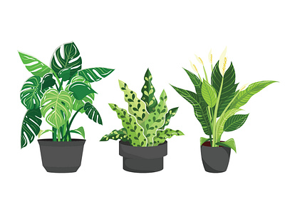 Illustration Plants illustration plant illustration vector design