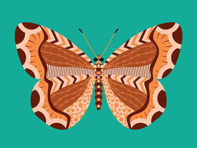 Butterfly abstract illustration