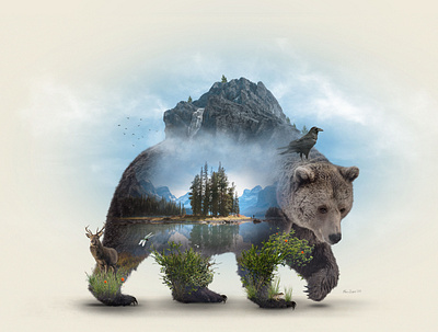This is Bear Country - Desktopography 2020 abstract art desktopography experimental graphic design minimalism nature photo manipulation photomanipulation surreal surrealism