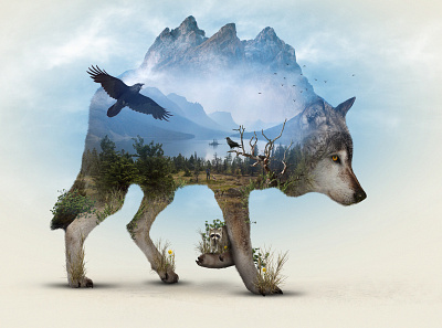 Wolf at the Gate abstract abstract art alberta banff cute desktopography doubleexposure graphicdesign kawaii landscape matte painting minimalism moose natural nature painting photomanip photomanipulation surreal wolf