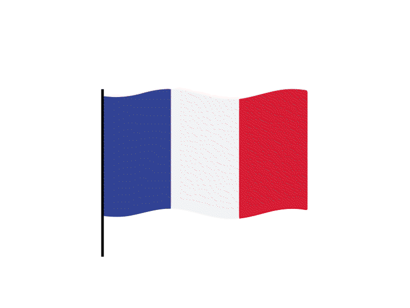 France flag Lottie JSON animation animated animation branding custom design flag flat gif graphicsgenisys html5 illustration json logo lottie lottiemotion lottiewebie minimal ui ux vector