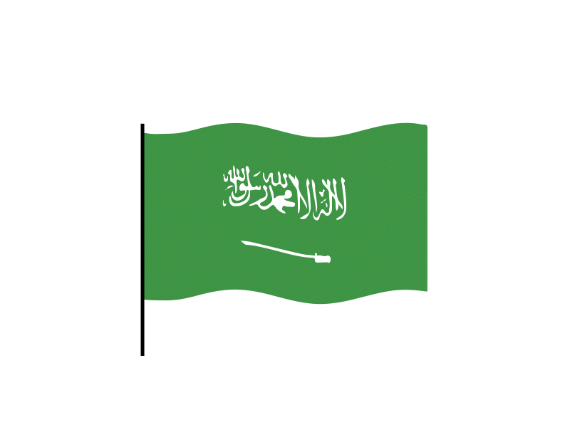 Saudi arabia flag Lottie JSON animation animated animation apps custom design flag gif graphicsgenisys html5 illustration json landingpage lottie lottiemotion lottiewebie preloader waving webpage website