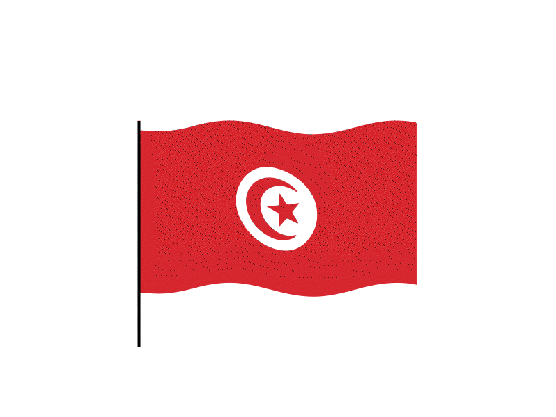 Tunisia flag Lottie JSON animation animated animation apps branding custom design gif graphicsgenisys html5 illustration json landingpage lottie lottiemotion lottiewebie ux vector webpage website