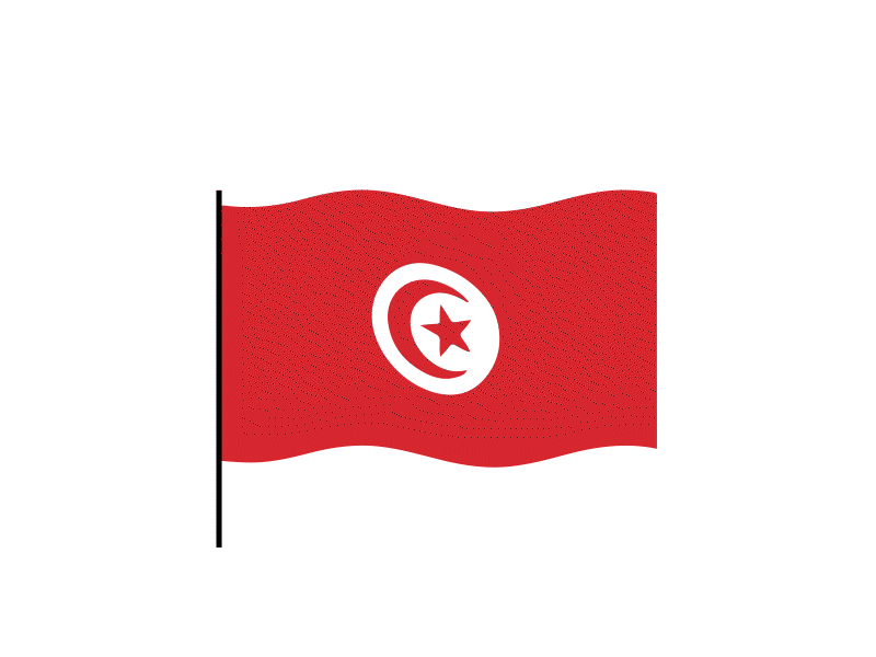 Tunisia flag Lottie JSON animation