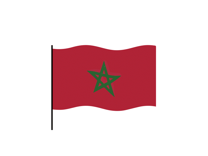 Morocco flag Lottie JSON animation