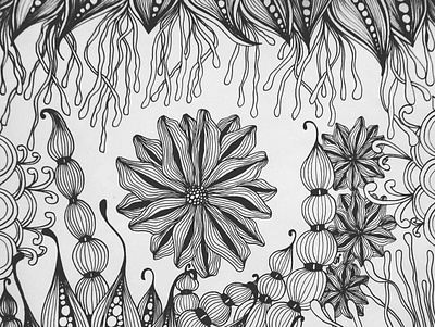 Differences black and white bubbles doodles drawing flowers illustration lines zentangle