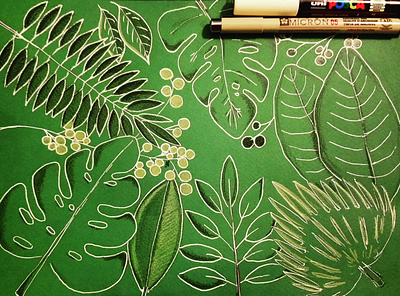 A little green green illustration leaves lines tropical