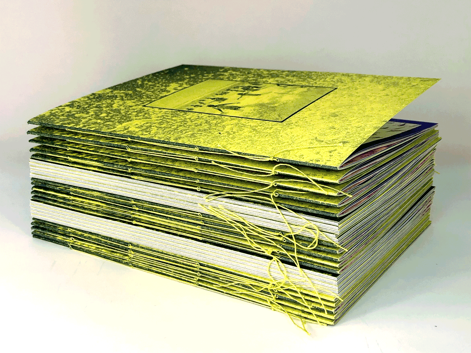 LOWFI PHOTO ZINE 35mm bookbinding design half frame lofizines photography photozine printmaking risograph risography risoprint