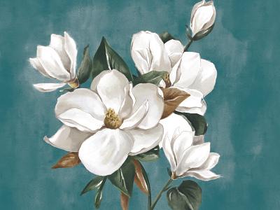 Graceful Magnolia design leaves magnolia pattern succulent watercolor